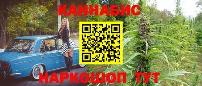 тгк Новодвинск