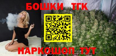 тгк Новодвинск