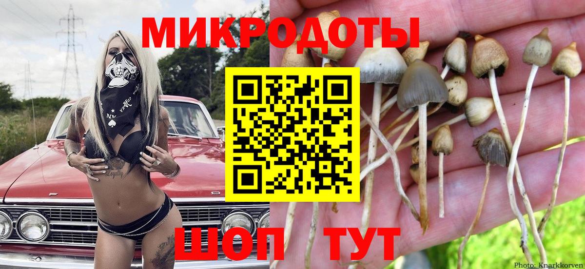 Галлюциногенные грибы GOLDEN TEACHER Ростов-на-Дону