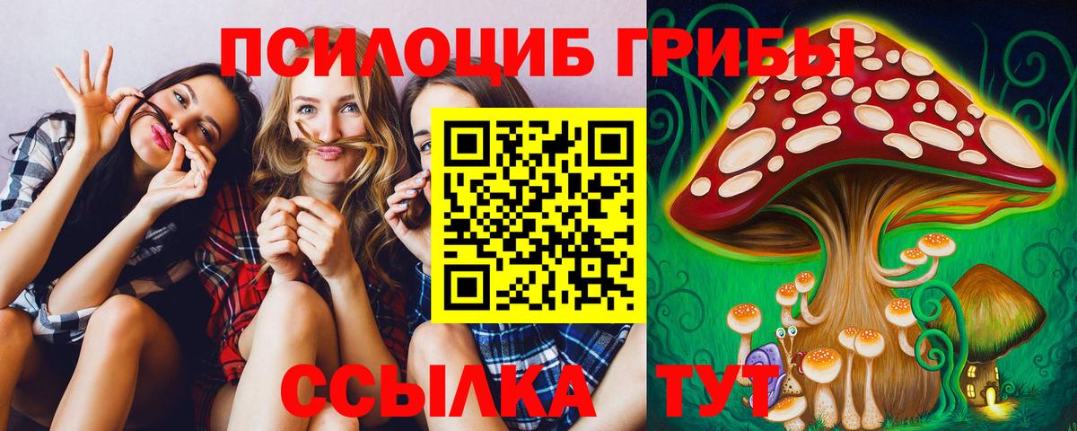 Ростов-на-Дону  купить наркотики сайты  Вход с VPN  Галлюциногенные грибы Psilocybine cubensis 